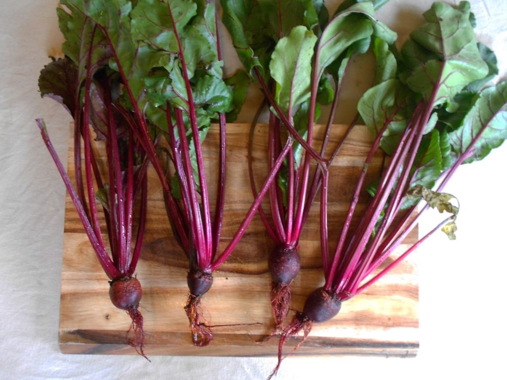 Don t chuck those beetroot tops leaves The Secret Farm PYO in Bedfordshire