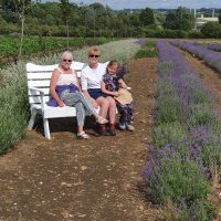 Family photo on white bench in lavender fields of Moggerhanger