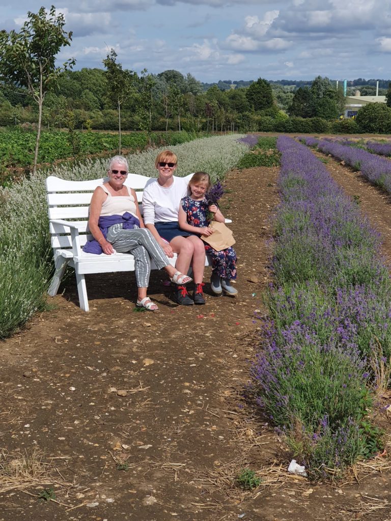 Family photo on white bench in lavender fields of Moggerhanger