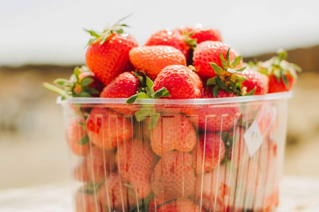 Red Strawberries full in a punnet