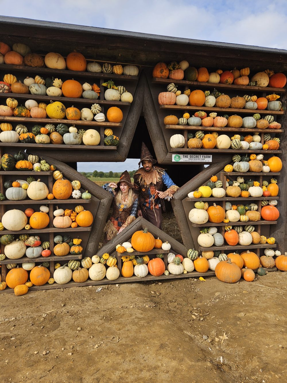 Creative Ways to Use Pumpkins This Fall - The Secret Farm - PYO in ...