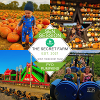 Secret Pumpkin PYO Special Educational Needs Session - 2026