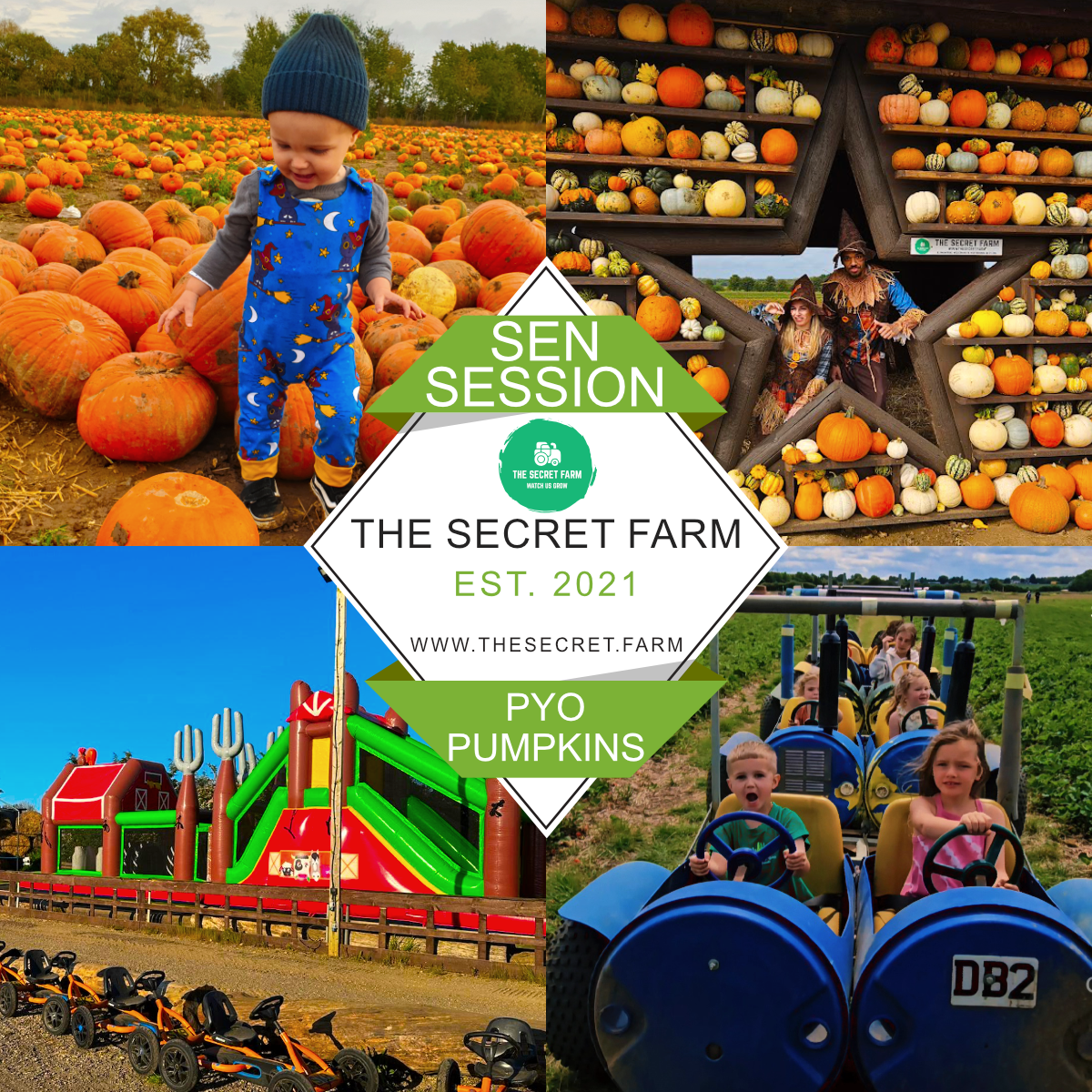 Secret Pumpkin PYO Special Educational Needs Session - 2026