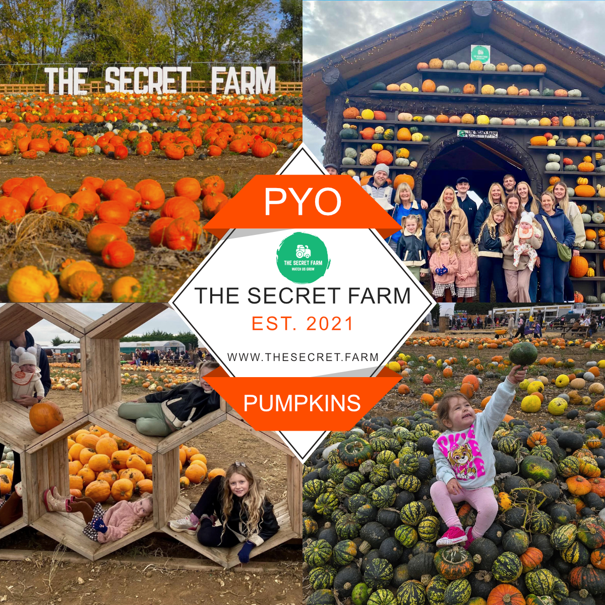 Secret Pumpkin PYO - 2026